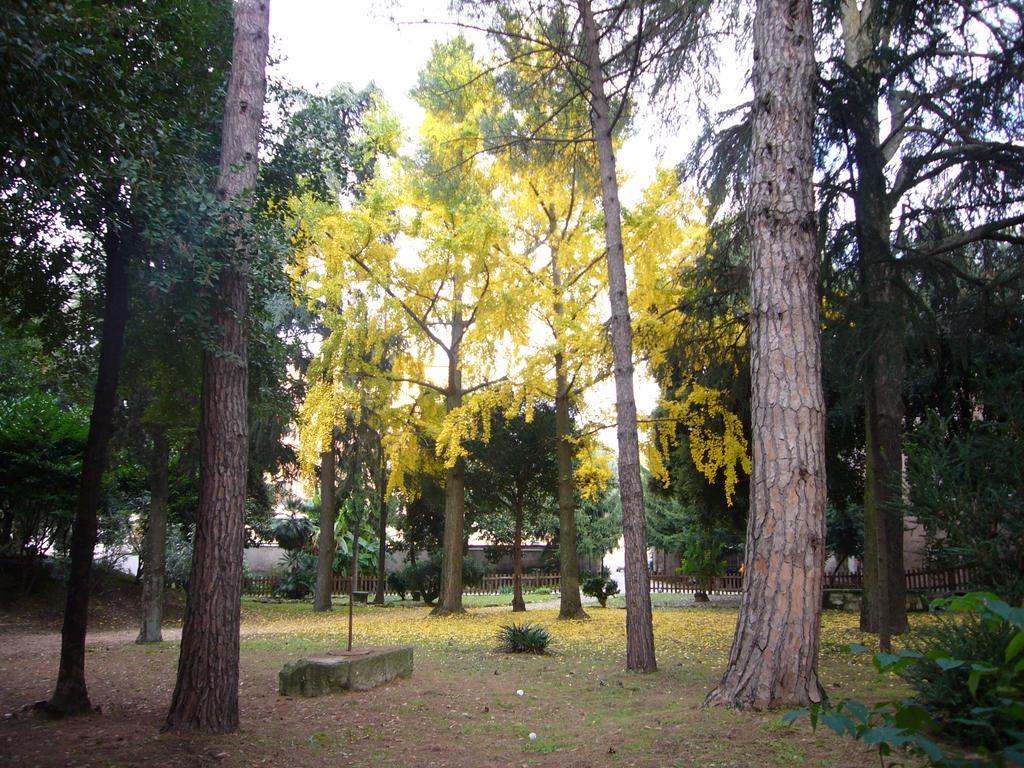 Villa Altieri Albano Laziale Esterno foto
