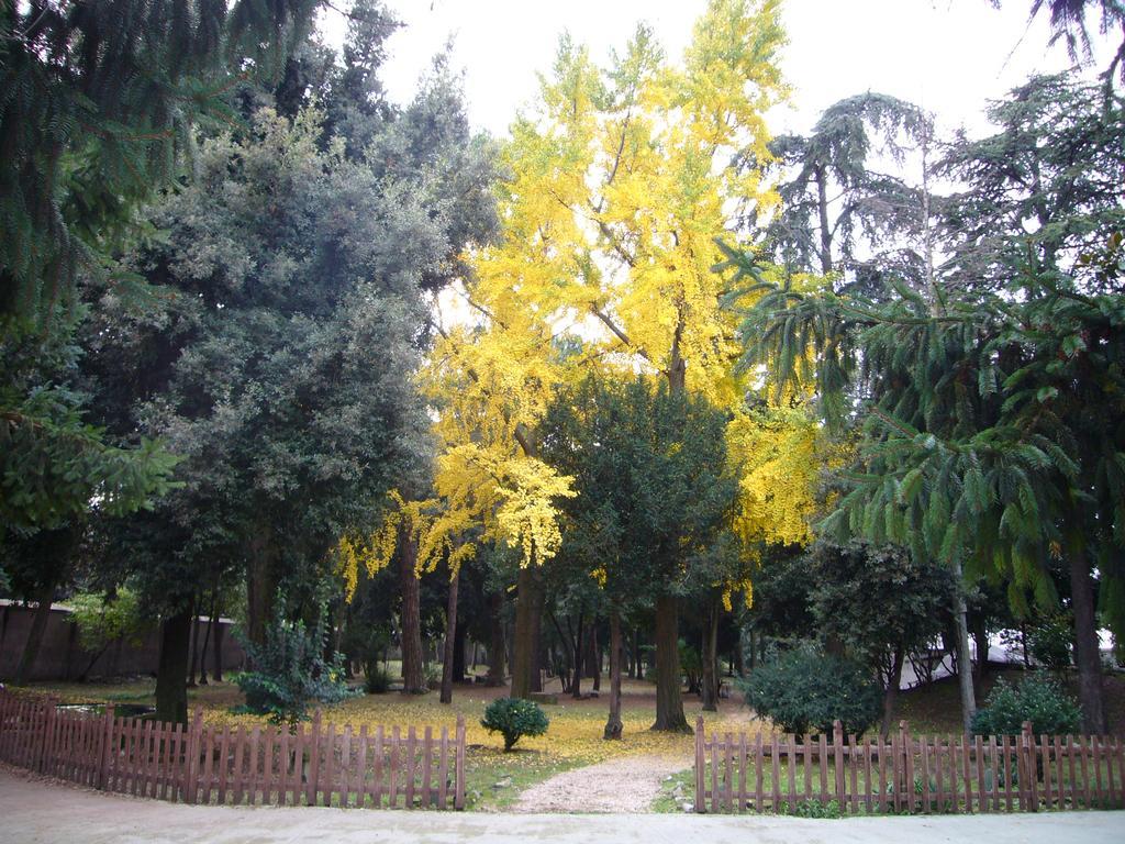 Villa Altieri Albano Laziale Esterno foto