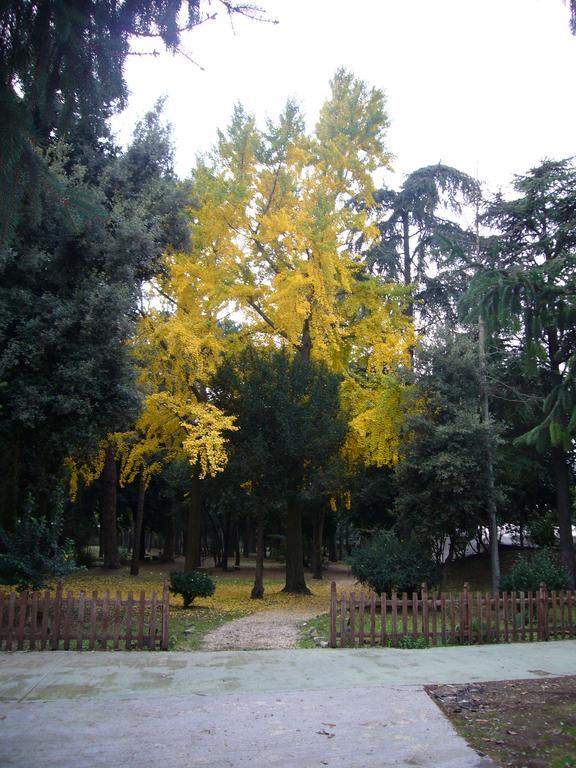 Villa Altieri Albano Laziale Esterno foto