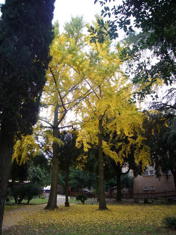 Villa Altieri Albano Laziale Esterno foto