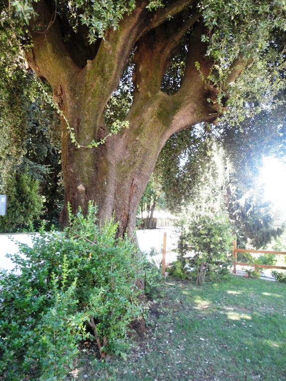 Villa Altieri Albano Laziale Esterno foto
