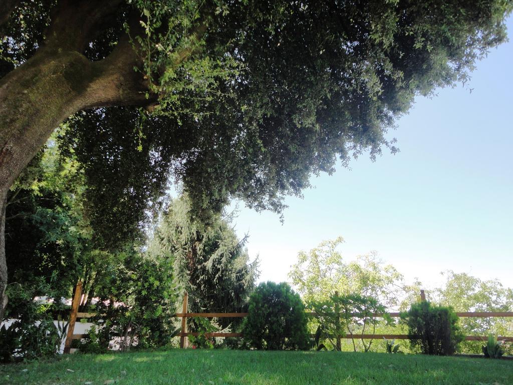 Villa Altieri Albano Laziale Esterno foto