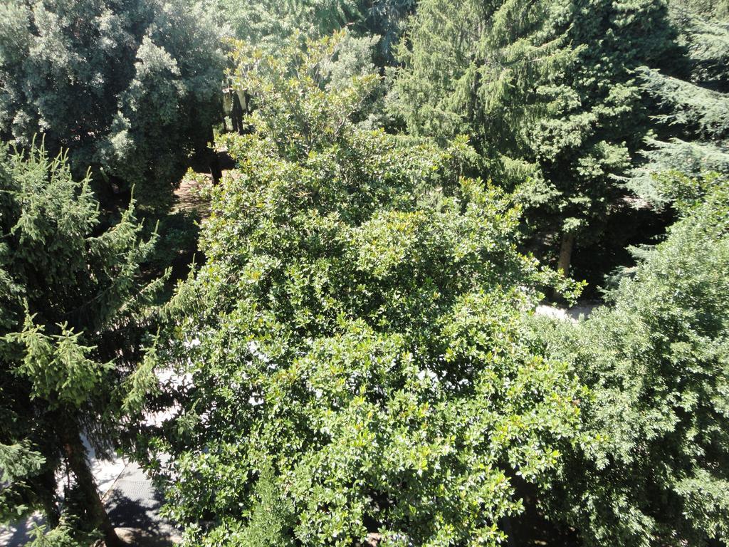Villa Altieri Albano Laziale Esterno foto